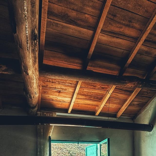 Geçmişin tanıklığı