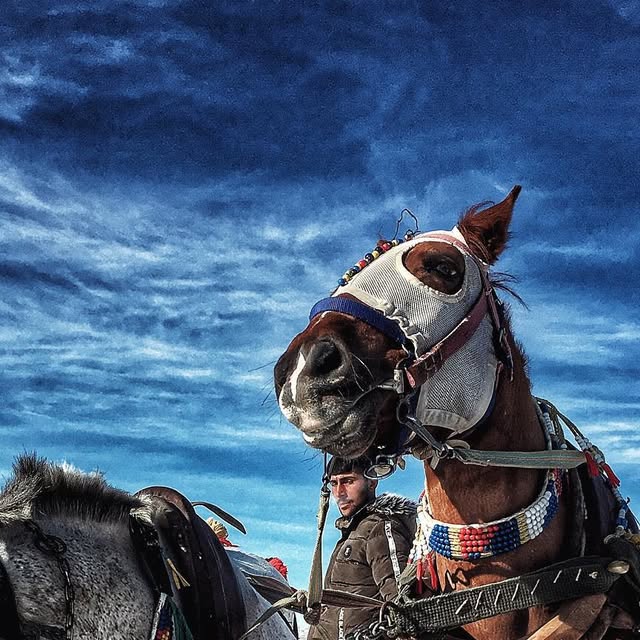 Kars, Çıldır fotoğrafı
